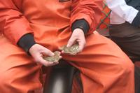 zwei spiegelverkehrte Flundern