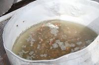 die Garnelen sind fertig