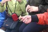 eine verirrte Tiefseegarnele