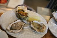 Austernprobe auf Sylt