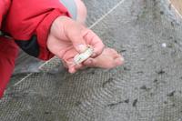 Bodo zeigt uns seinen Fang