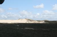 eine Wanderdüne auf Sylt