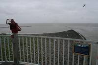 am Eidersperrwerk bei Tönning