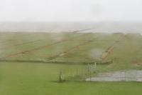 Landgewinnung und Küstenschutz - auch bei Regen