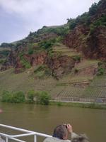 Weinanbaugebiete entlang der Mosel