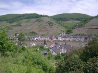 Blick auf Zell an der Mosel