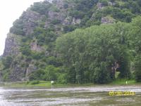 Loreley