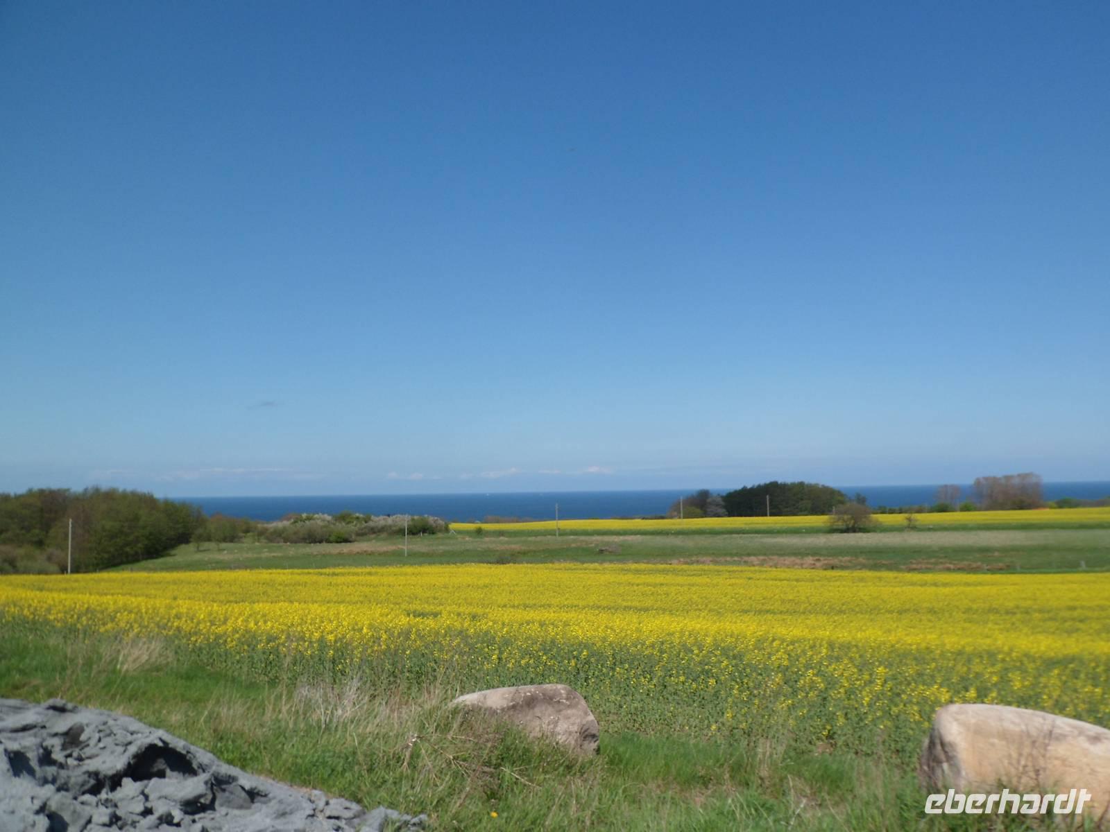 Rad Rügen 2013 , unterwegs im Jasmund