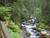 Eingang zum Gollinger Wasserfall