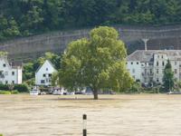 Koblenz- Rhein mit Hochwasserstand
