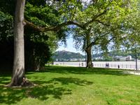 Koblenz- Rhein mit Feste Ehrenbreitstein