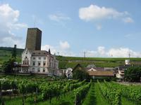 Rüdesheim