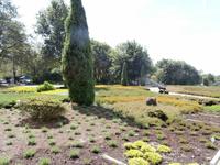 Schneverdingen Heidegarten