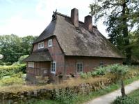 Kutschfahrt in der Lüneburger Heide