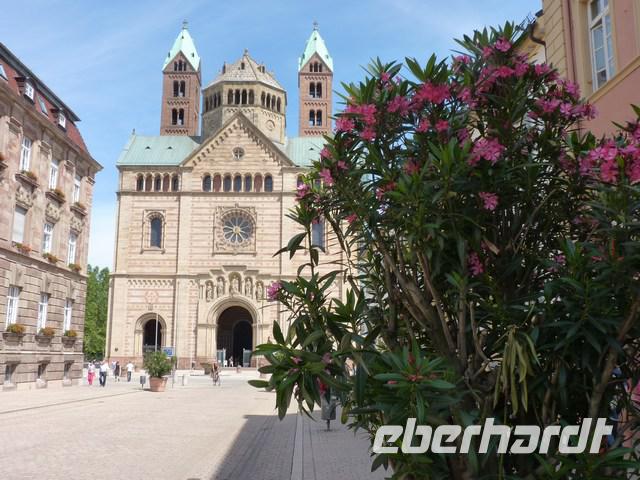 Dom von der Maximillianstrasse