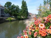Stasbourg an der Ill