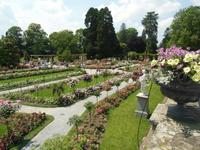 Rosengarten Mainau