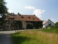 Dutzende Störche auf dem Affenberg