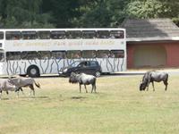 Serengeti-Park Hodenhagen