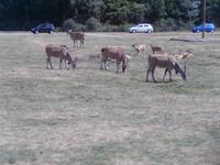 Serengeti-Park Hodenhagen