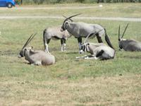 Serengeti-Park Hodenhagen