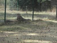 Serengeti-Park Hodenhagen