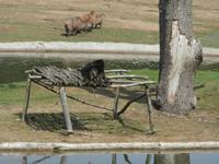 Serengeti-Park Hodenhagen