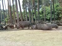 Serengeti-Park Hodenhagen