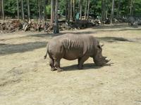 Serengeti-Park Hodenhagen