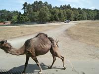 Serengeti-Park Hodenhagen