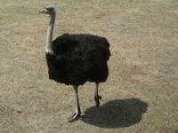 Serengeti-Park Hodenhagen