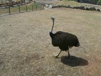 Serengeti-Park Hodenhagen