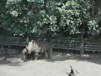 Serengeti-Park Hodenhagen