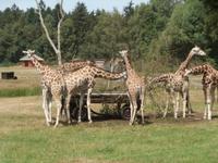 Serengeti-Park Hodenhagen