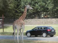 Serengeti-Park Hodenhagen