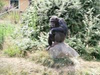 Serengeti-Park Hodenhagen