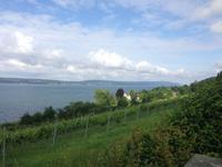 Blick auf denUntersee