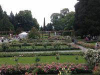 Rosengarten auf der Insel Mainau