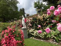 Rosengarten auf der Insel Mainau3