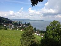 Schloss Arenenberg-Blick auf den Untersee