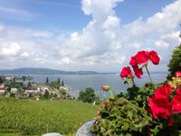 Schloss Arenenberg-Gartenanlage1