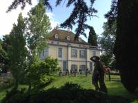 Schloss Arenenberg-Gartenanlage3