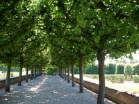 Hannover, Herrenhäuser Gärten