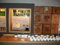 Hamburg, Speicherstadt