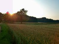 Sieversen, hinter unserem Hotel