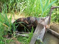 Freiluftmuseum Kiekeberg