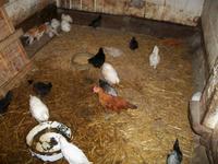 Freiluftmuseum Kiekeberg