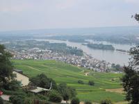 Rhein in Richtung Mainz