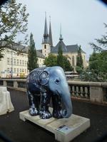 Elefanten mit Kathedrale Notre Dame