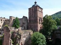 Ruinen des Bibliotheksbaus und des Ruprechtsbaus sowie Torturm, vom Stückgarten aus gesehen